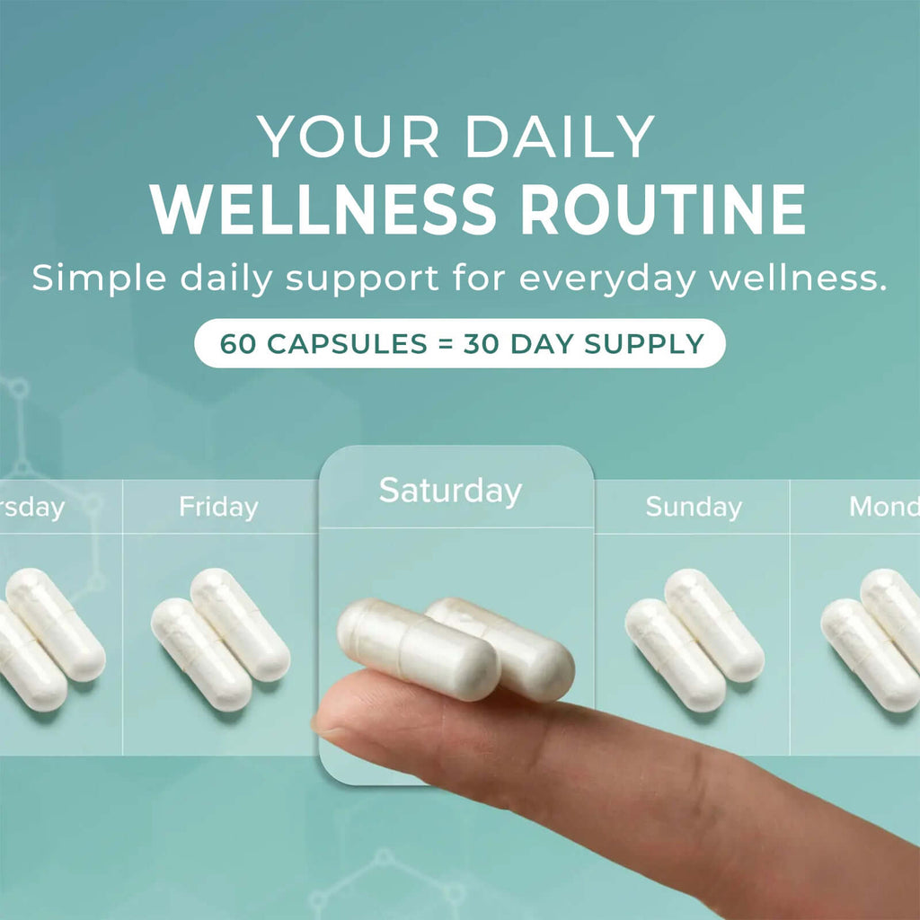 Resveratrol Antioxidant Capsules